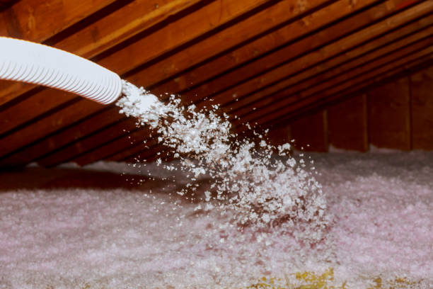 Best Garage Insulation Installation  in Navassa, NC