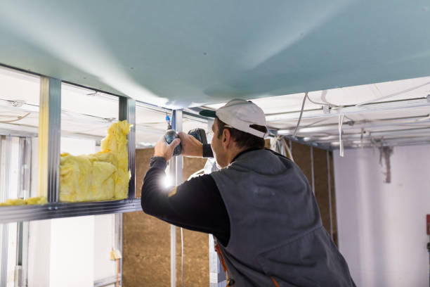 Best Insulation Repair Services  in Navassa, NC