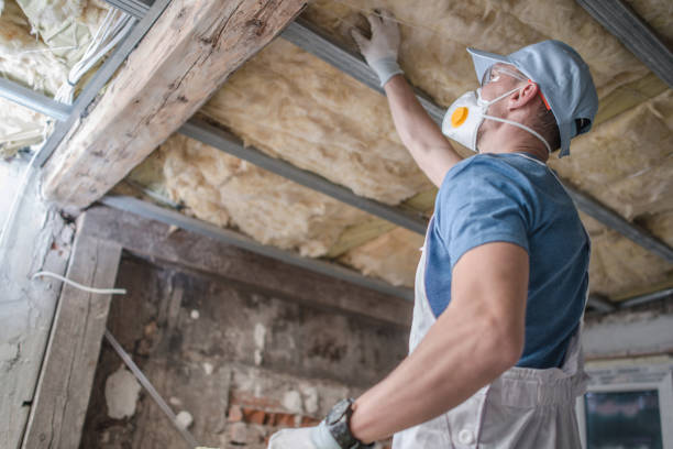 Best Blown-in Insulation  in Navassa, NC