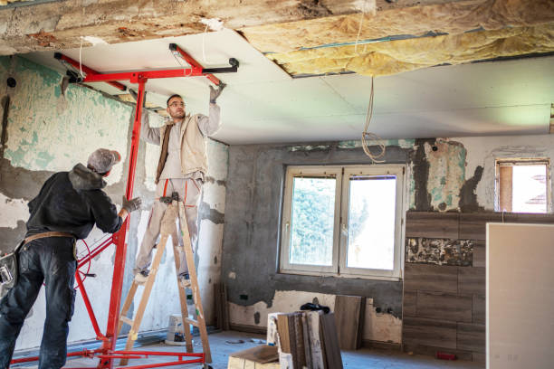 Best Insulation Removal  in Navassa, NC
