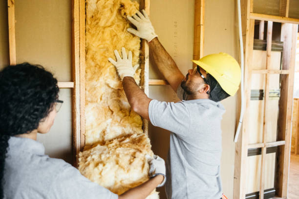 Best Residential Insulation Services  in Navassa, NC