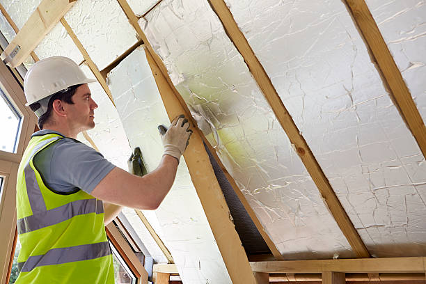 Best Insulation Inspection Services  in Navassa, NC