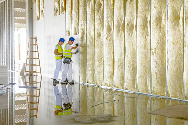 Best Home Insulation Services  in Navassa, NC